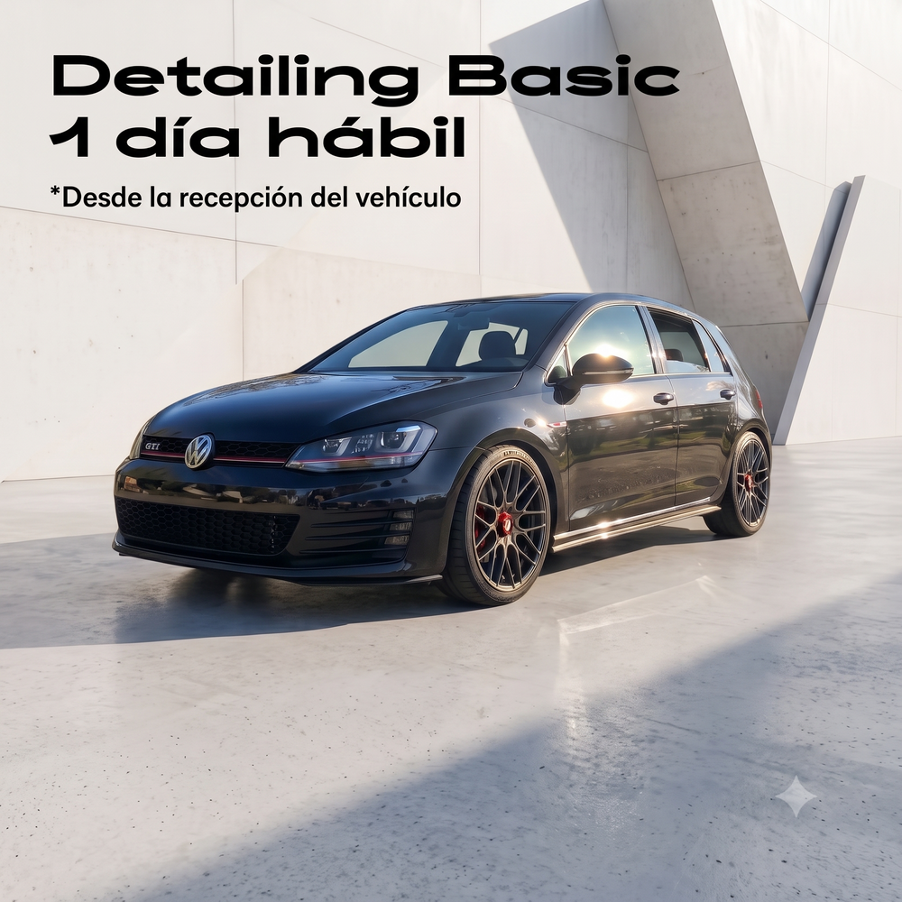 Servicio Basic