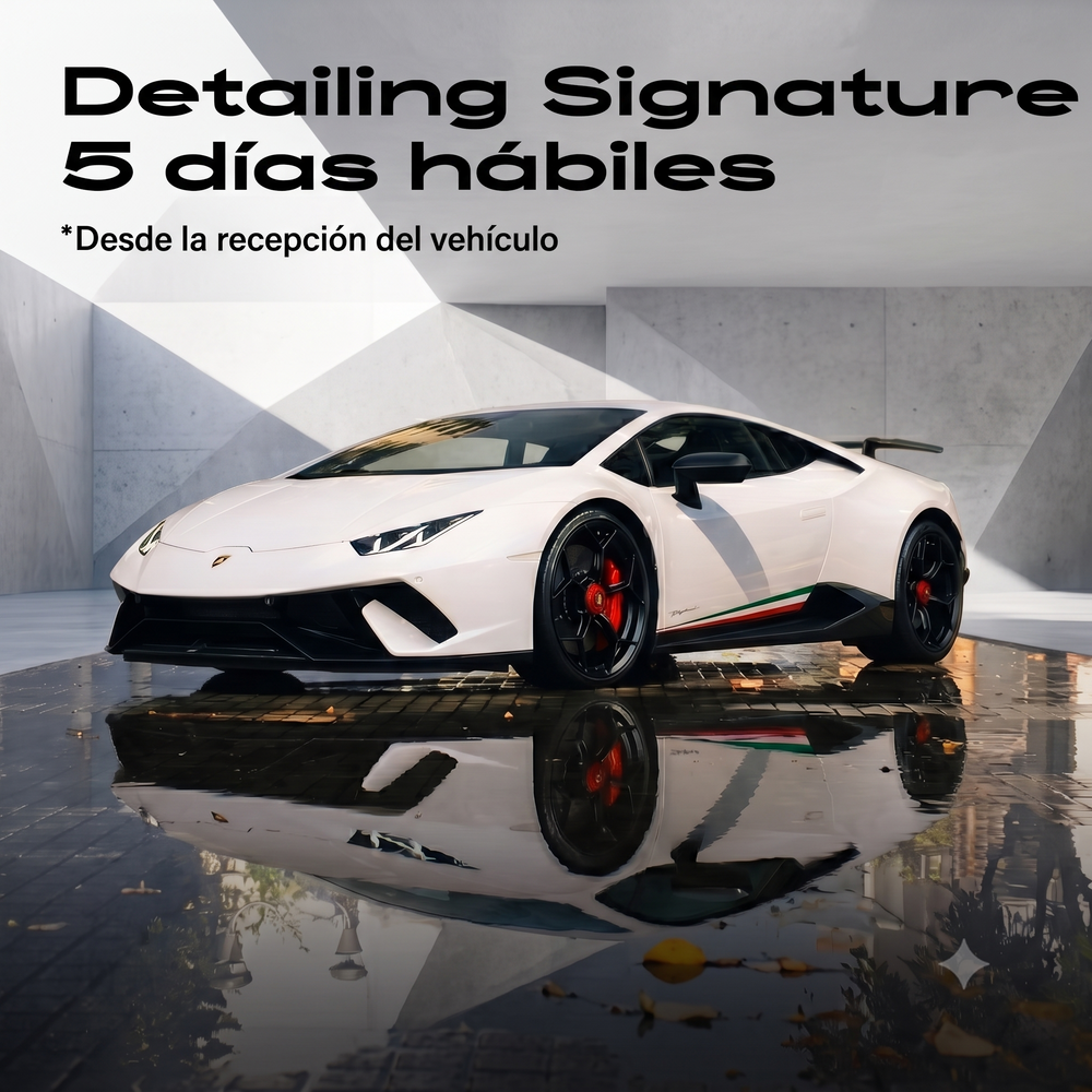 Servicio Signature